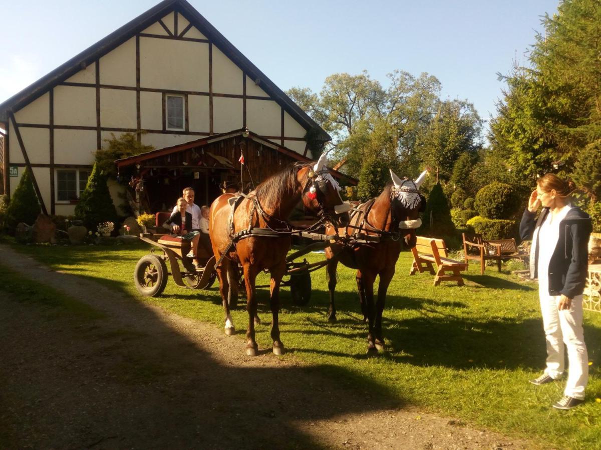 Pensjonat Kalina Komorze Exteriör bild